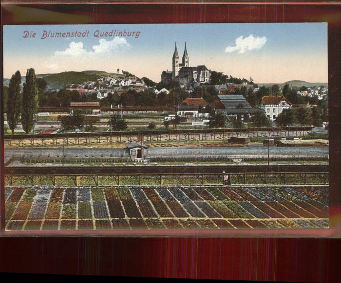 Quedlinburg Harz Panorama Blumenbeete