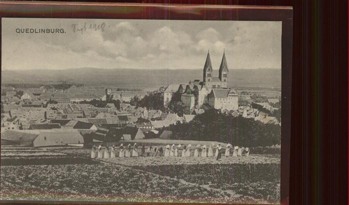 Quedlinburg Harz Panorama