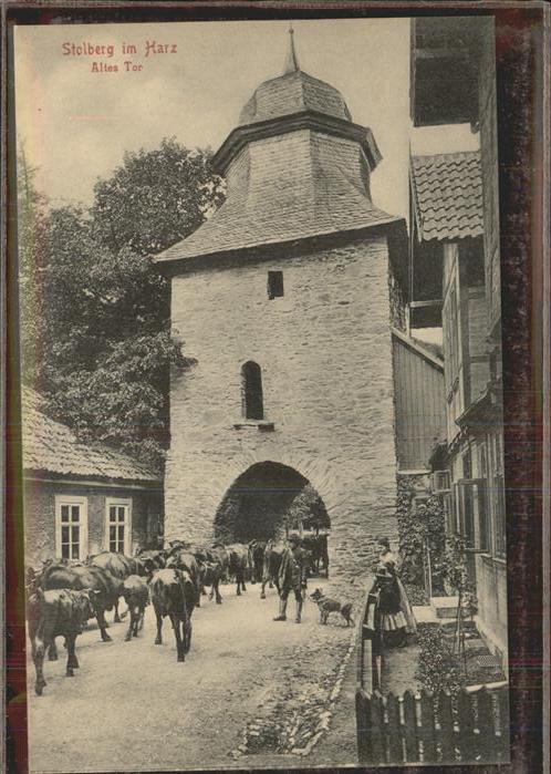 Stolberg Harz Altes Tor Rittergasse Turm Kuh Viehtrieb