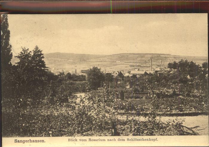 Sangerhausen Suedharz Blick vom Rosarium zum Schlösschenkopf