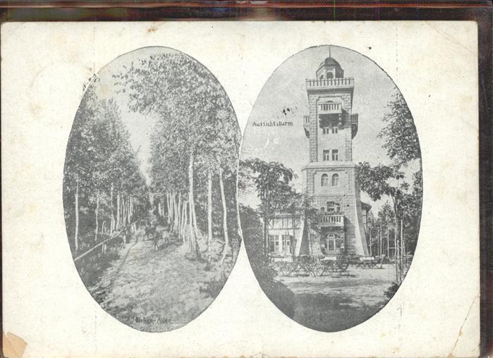 Bad Schmiedeberg Reh Wild Schmiedeberger Heide Aussichts