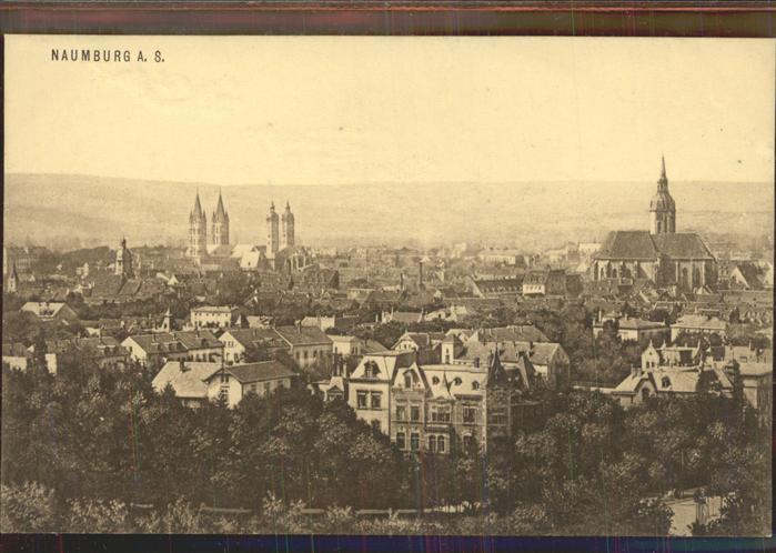 Naumburg Saale Panorama mit Kirchen