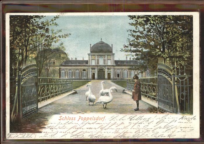 Bonn Rhein Schloss Poppelsdorf Tor Schwäne