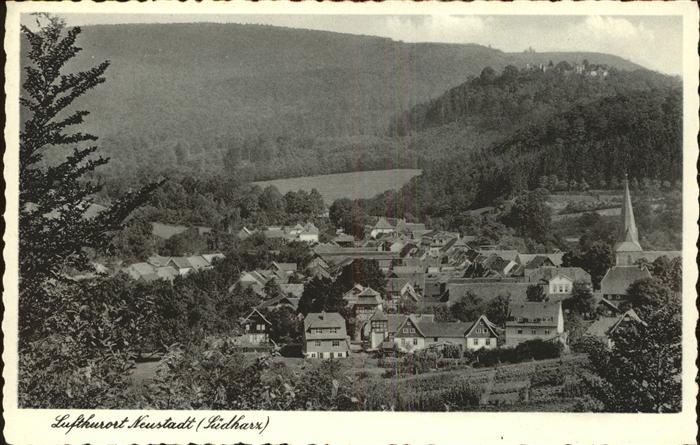 Neustadt Harz Panorama