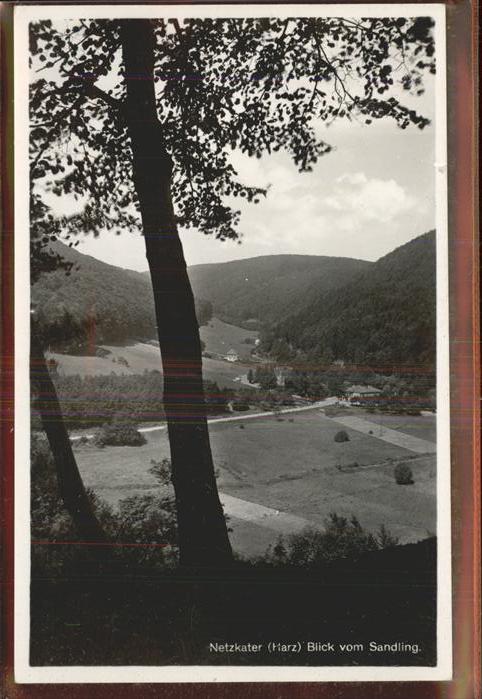 Netzkater Blick vom Sandling
