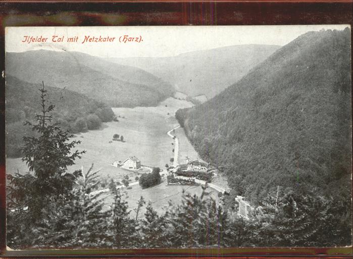 Ilfeld Ilfeld Suedharz Ilfelder Tal mit Netzkater