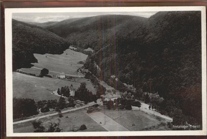 Netzkater Fliegeraufnahme