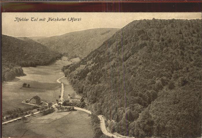 Netzkater Ilfelder Tal