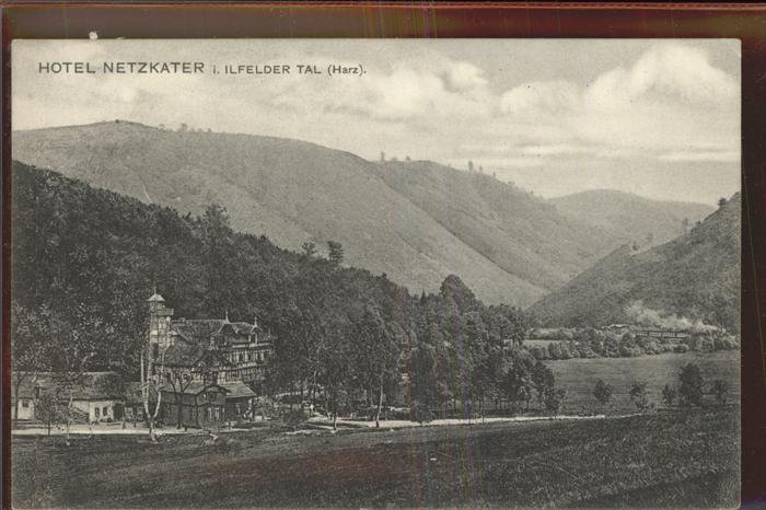 Netzkater Hotel Restaurant Netzkater Ilfelder Tal