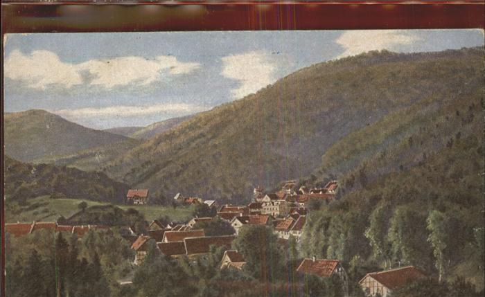 Suelzhayn Panorama Vogelperspektive Heilbad