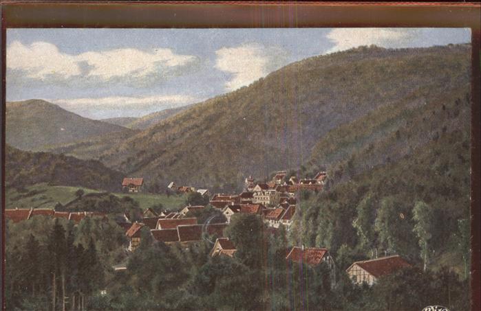 Suelzhayn Panorama Vogelperspektive Das Heiland K