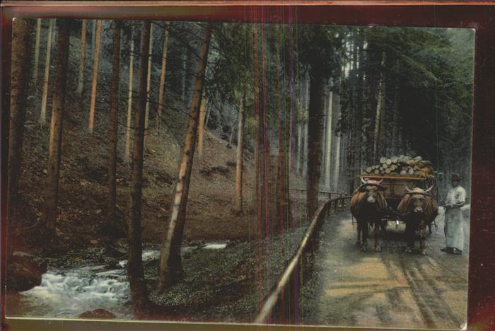 Friedrichroda Ochsenfuhrwerkm im Th?r.Wald