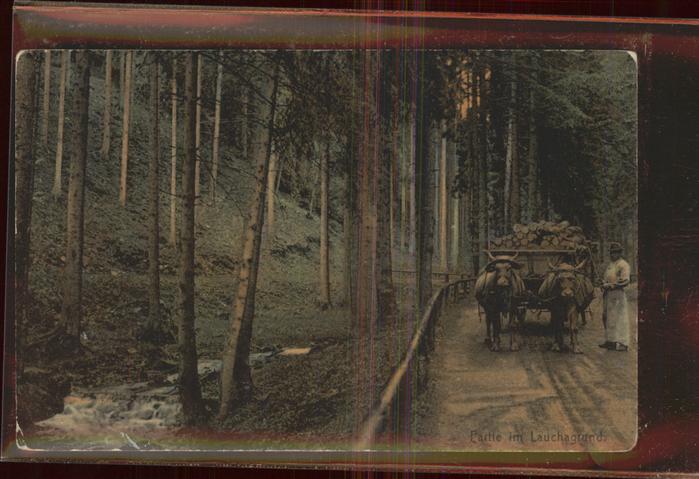 Friedrichroda Ochsenfuhrwerk im Th?r.Wald