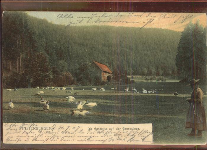 Finsterbergen Gänselise mit ihren Gänsen im Leinatal