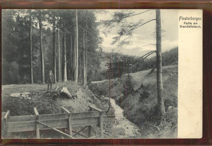 Finsterbergen Partie an Brandleiteteich