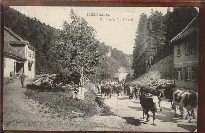 Friedrichroda Kuhherde im Grund