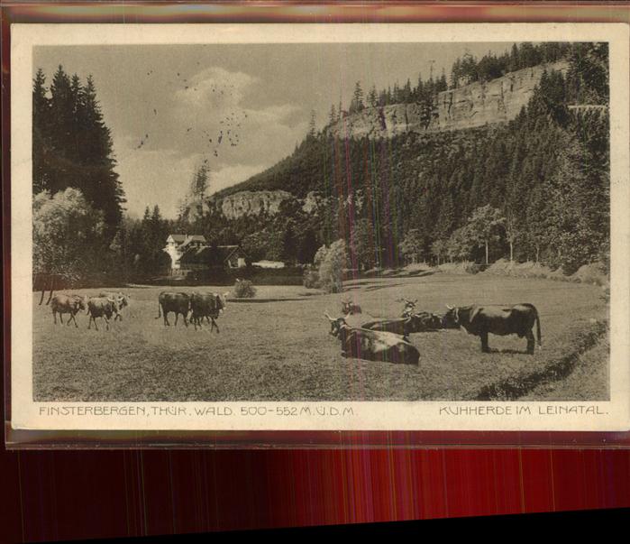 Finsterbergen Kuhherde im Leinatal