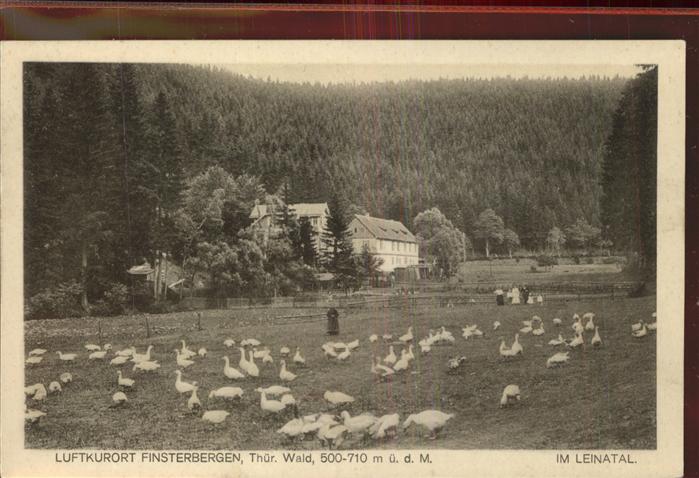 Finsterbergen Gänseliesel mit Ihren Gänsen im Leinata