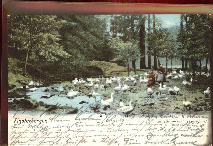 Finsterbergen Gänseliesel mit Ihren Gänsen im Leinata