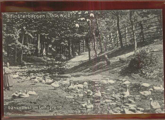 Finsterbergen Gänseliesel mit Ihren Gäsen im Leinatal