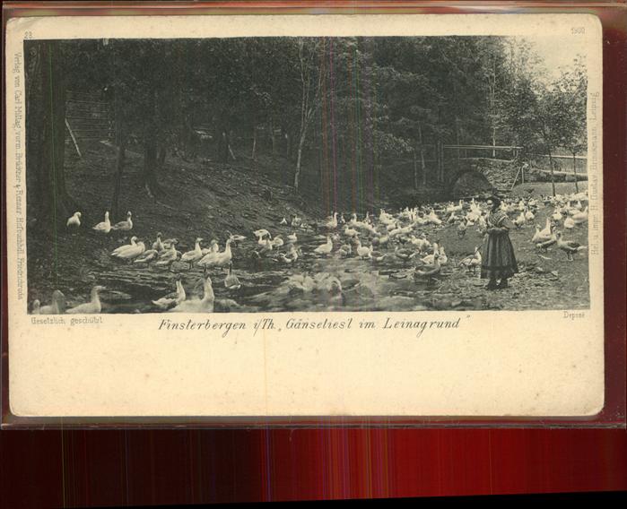 Finsterbergen Gänseliesel mit Ihren Gänsen im Leinagr