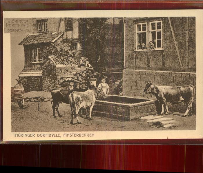 Finsterbergen Kühe am Brunnen