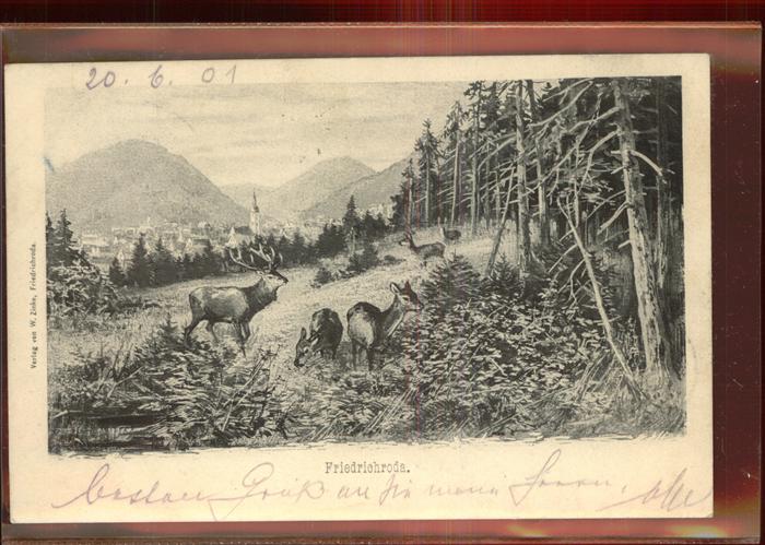 Friedrichroda Mit Rehwild