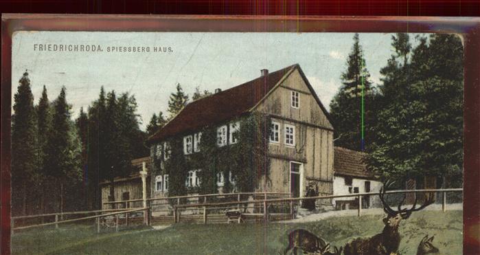 Friedrichroda Spießbergaus mit Rehwild