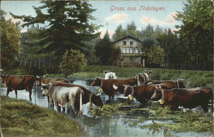 Friedrichroda Rinder im Fluß