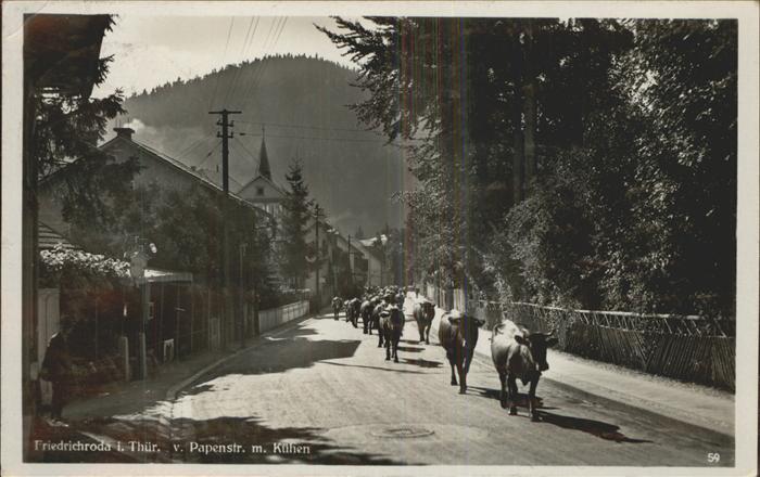 Friedrichroda Papenstrasse Kuehe