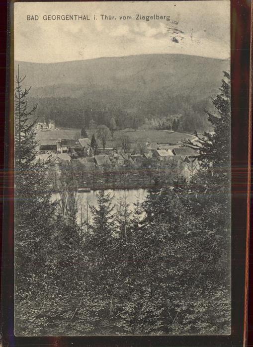 Georgenthal vom Ziegelberg gesehen