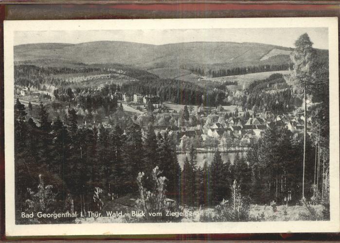 Georgenthal Blick vom Ziegelberg
