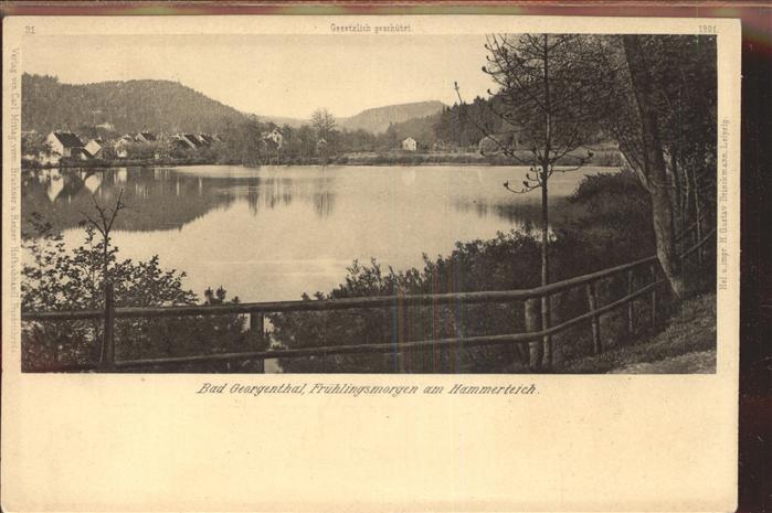 Georgenthal am Hammerteich