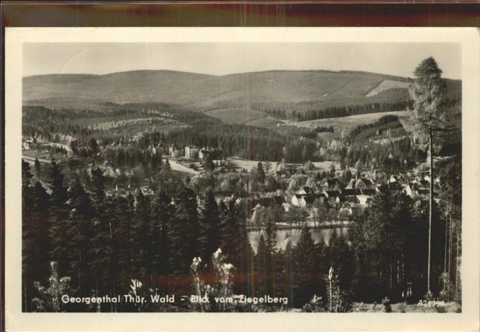 Georgenthal Blick vom Ziegelberg