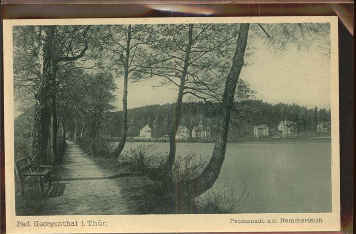 Georgenthal Promenade Hammerteich