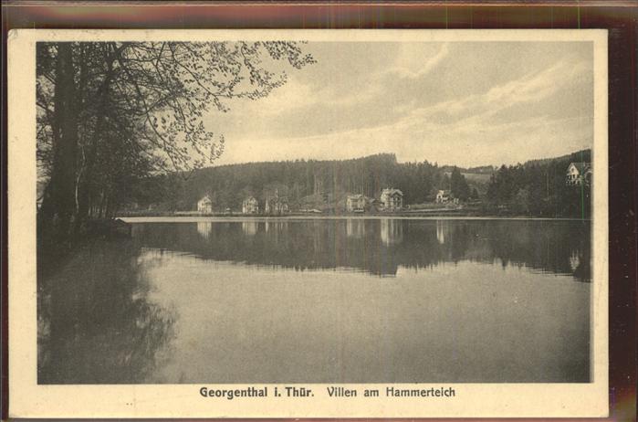 Georgenthal Villen am Hammerteich