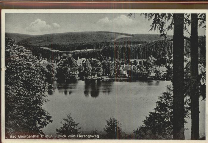 Georgenthal Blick vom Herzogsweg