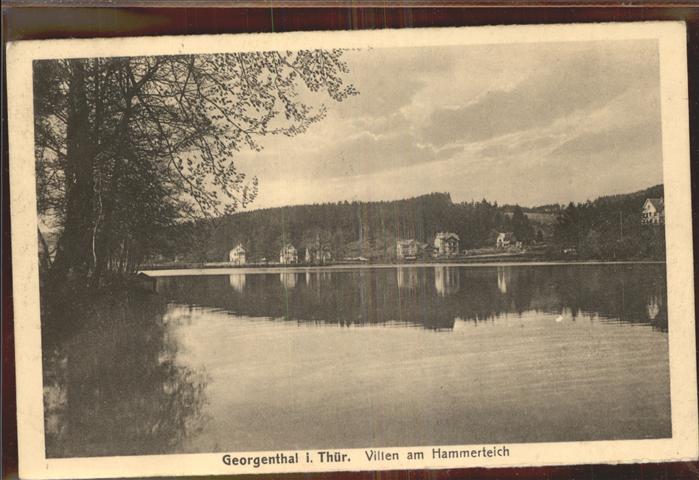 Georgenthal Villen am Hammerteich