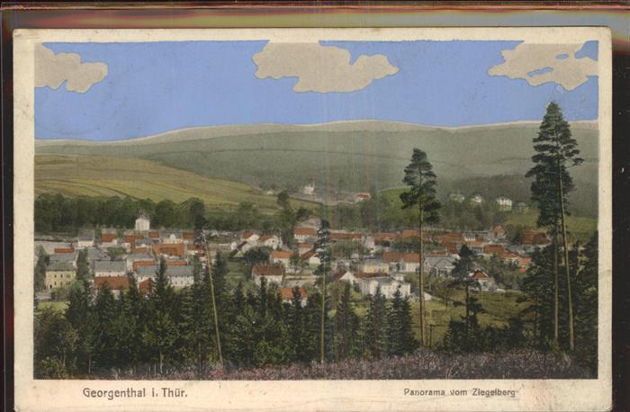 Georgenthal Panorama vom Ziegelberg