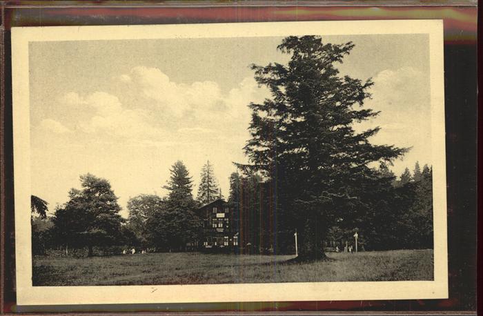 Friedrichroda Waldkaffee Tanzbuche