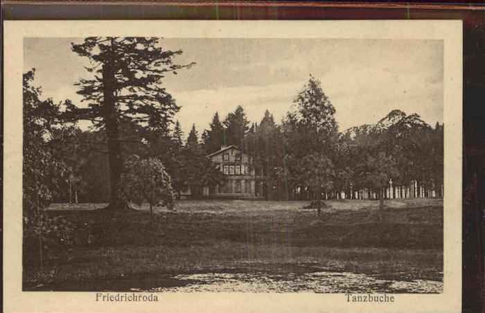 Friedrichroda Tanzbuche