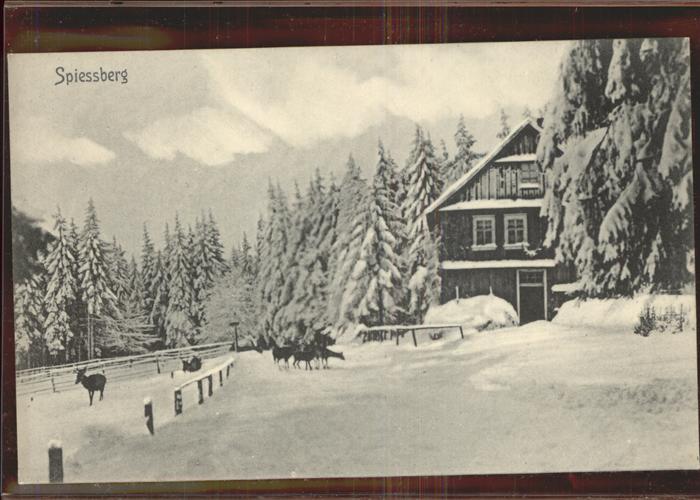 Friedrichroda Spiessberg