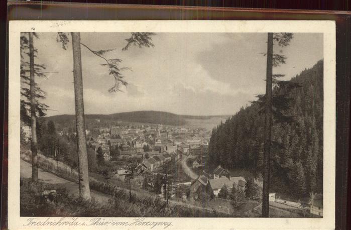 Friedrichroda Blick vom Herzogweg