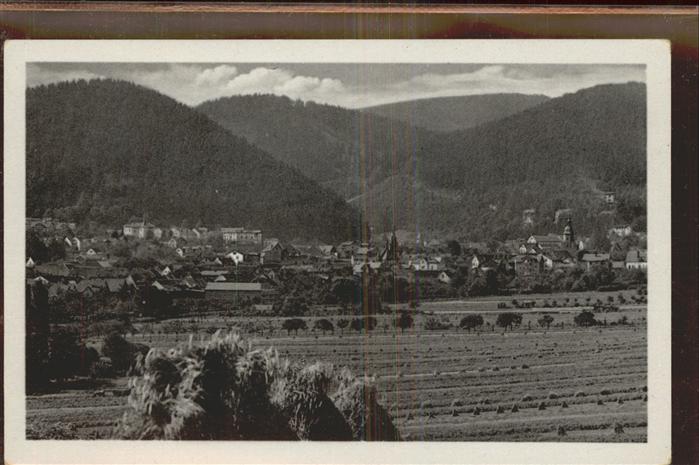 Friedrichroda Gesamtansicht