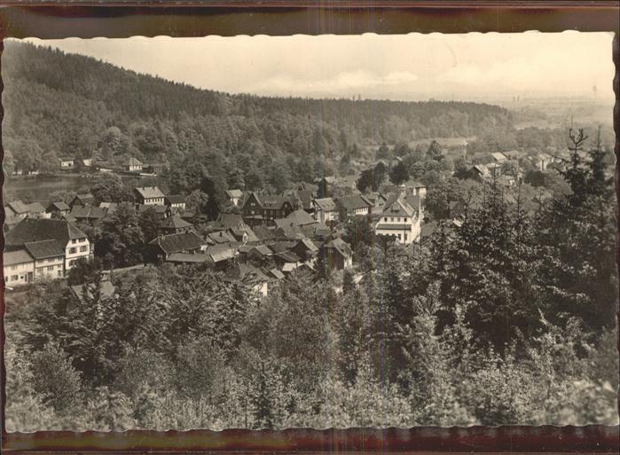 Georgenthal Panorama