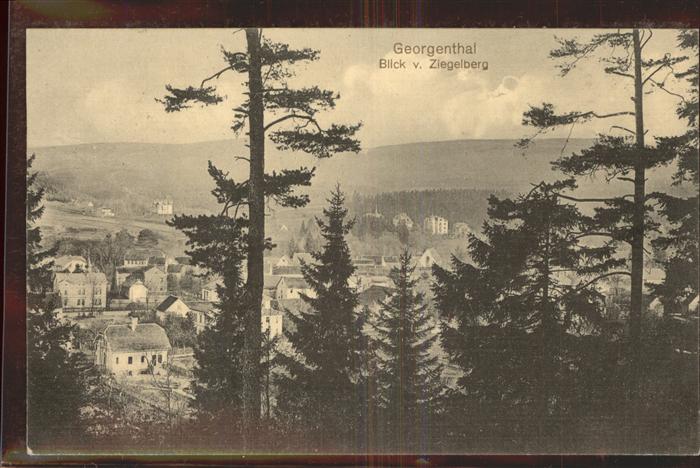 Georgenthal Blick vom Ziegelberg