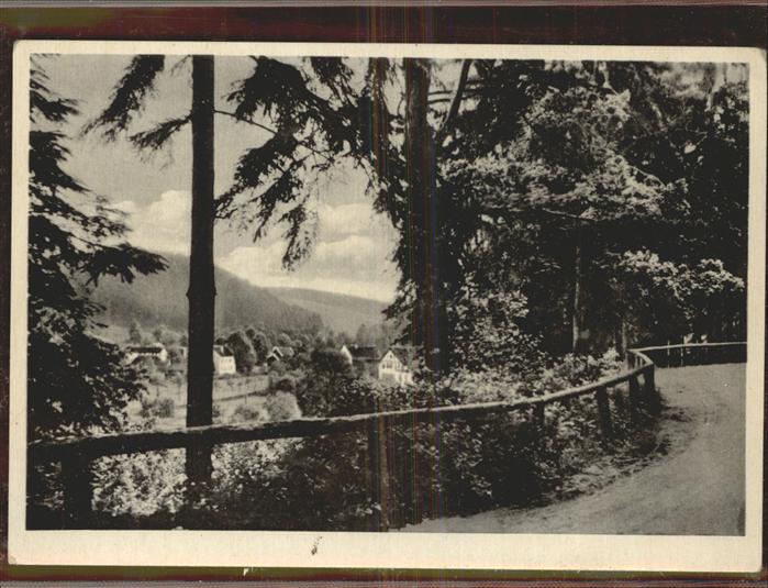 Georgenthal Waldsaumweg