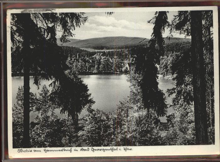 Georgenthal Hammerteich