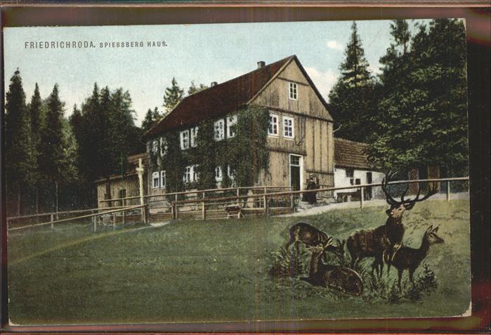 Friedrichroda Spiessberghaus Rehe