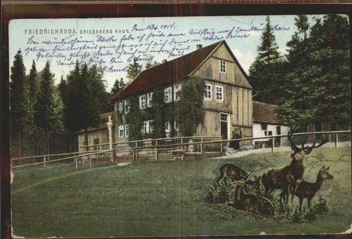 Friedrichroda Spiessberghaus Rehe